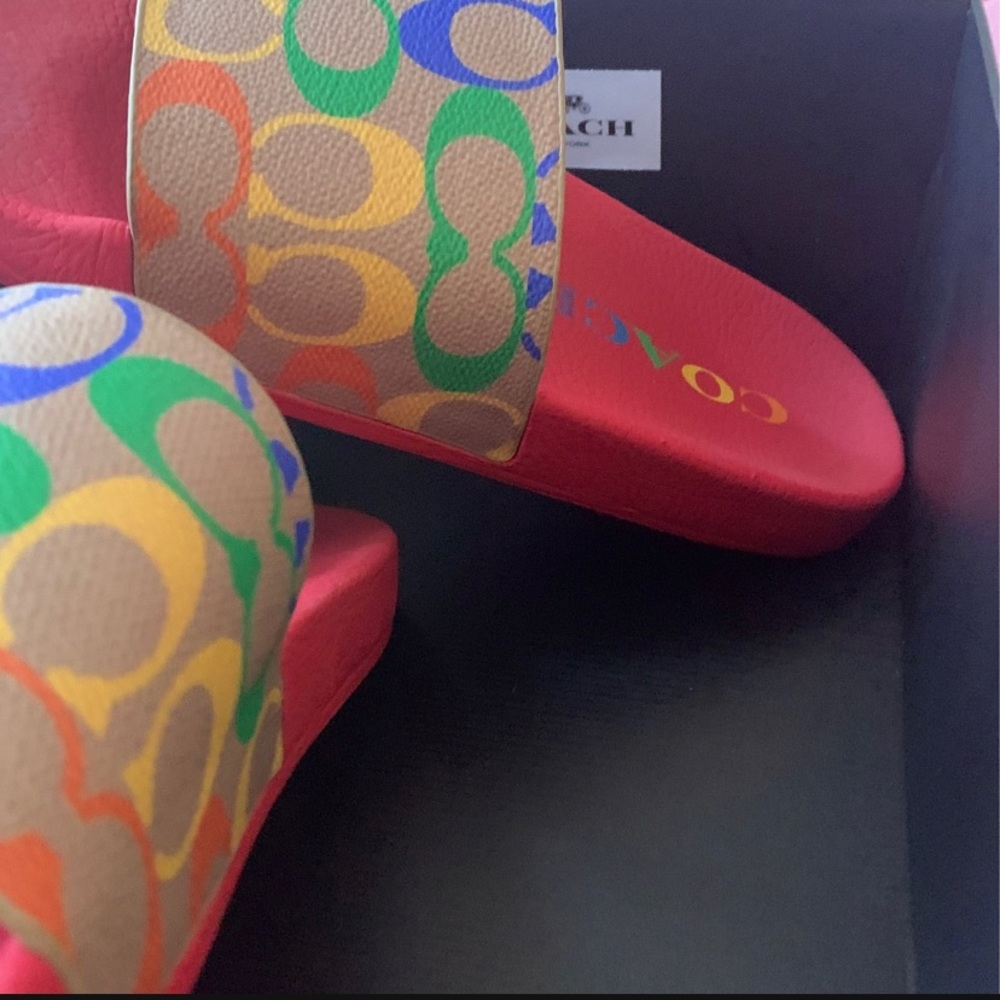 Cute multicolored coach